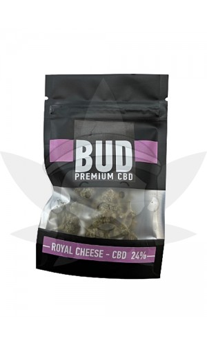 Royal Cheese - CBD 24% no BUD Premium CBD - CBD