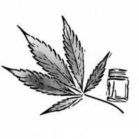 CBD flowers, CBD oils, and other related items